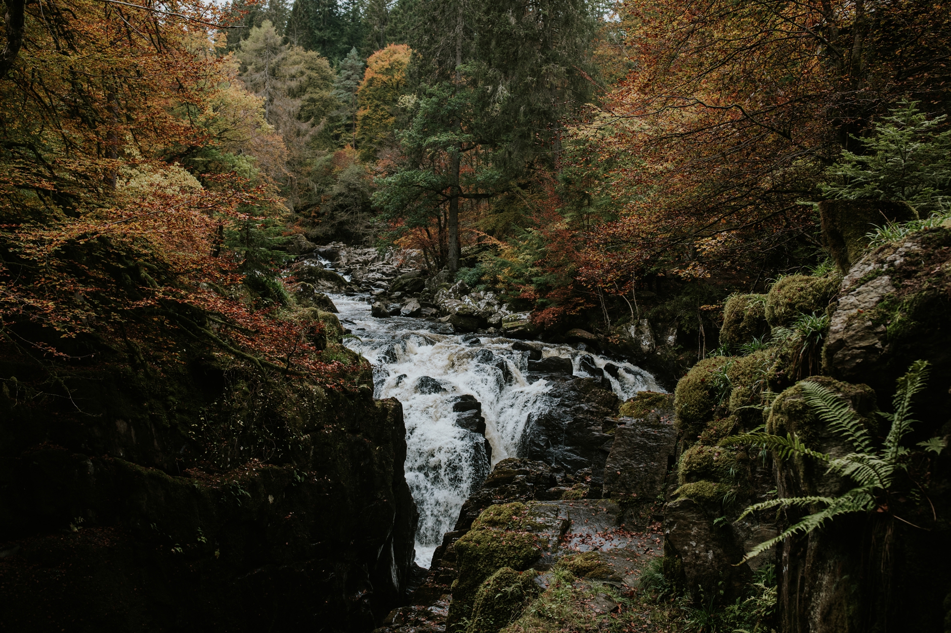 dunkeld elopement photographer